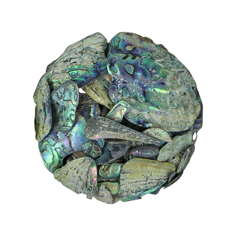 NZ Abalone Paua Shell - Natural - Unsorted