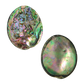 NZ Abalone Paua Gem - Buffed