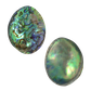 NZ Abalone Paua Gem - Buffed
