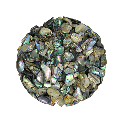 NZ Abalone Paua Shell - Chip - 8-12mm