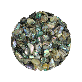 SHELL TERRAZZO CHIP - PAUA - 8-12MM - 1 KG