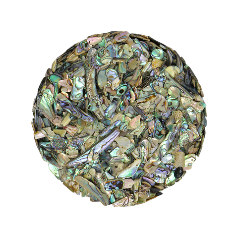 NZ Abalone Paua Shell - Chip - 5-7mm