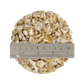 SHELL TERRAZZO CHIP - TROCHUS - 10-20MM