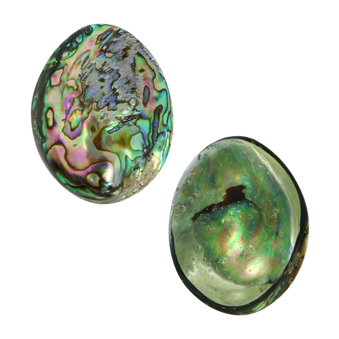 NZ Abalone Paua Gem - Resin Filled