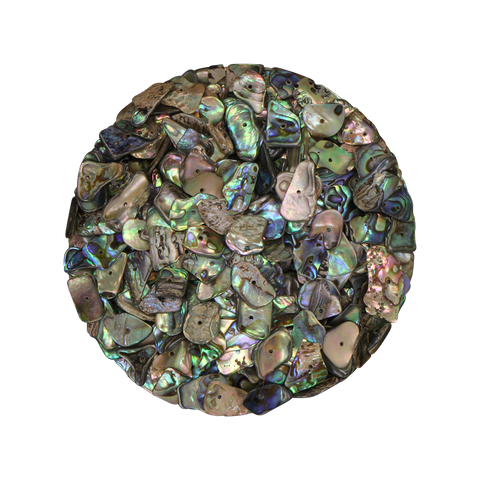 NZ Abalone Paua - Gloss drilled - Centered Hole - 10mm