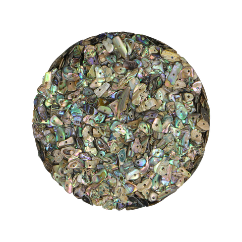 NZ Abalone Paua - Gloss drilled - Centered Hole - 6mm