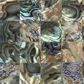 SOLID SHELL TILE - NZ ABALONE PAUA NATURAL - SQUARE - 15*15/150*75MM