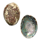 NZ Abalone Paua - Natural