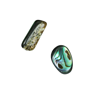 SHELL BEAD - PAUA FREEFORM - LARGE (25 PER)