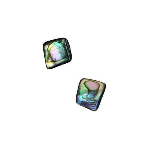 Shell Bead - NZ Abalone Paua Shell - Nugget