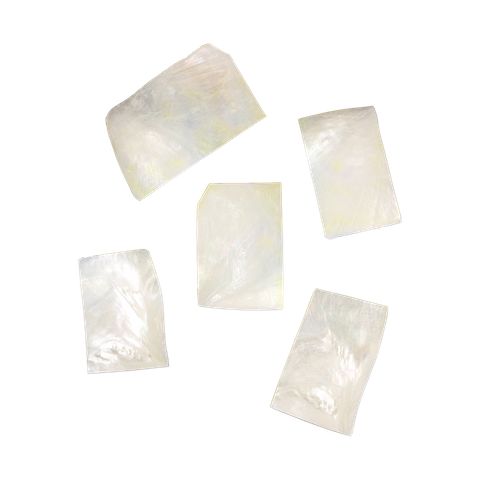 White Mother of Pearl - Rectangle - Curved, Clean back, Not Polished