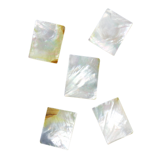 SHELL BLANK WMOP WY - RECTANGLE - FLAT, GROUND BACK, TUMBLED POLISHED - 50*40MM (DOZ)