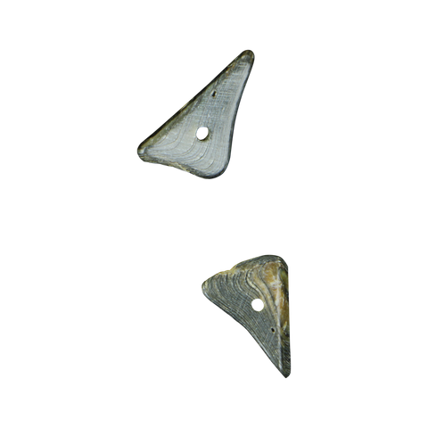 Shell Bead - NZ Abalone Paua Shell - Triangle Rim
