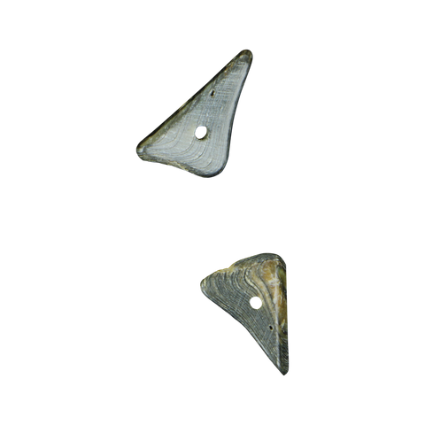 SHELL BEAD - PAUA TRIANGLE RIM - 8MM (48PCS)