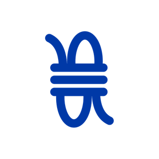 Bridles and Snubbers