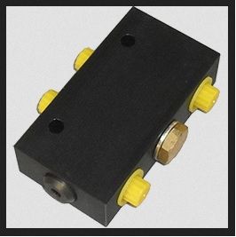 Raymarine Double Pilot Check Valve