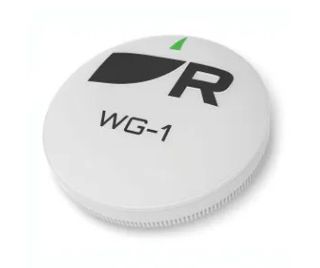 Raymarine RCU-1 Wireless Autopilot Remote