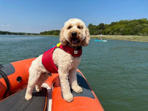 FIDO Dog Floatation Vests