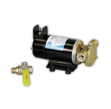 Jabsco Reversible Oil Change Pump