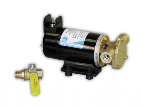 Jabsco Reversible Oil Change Pump