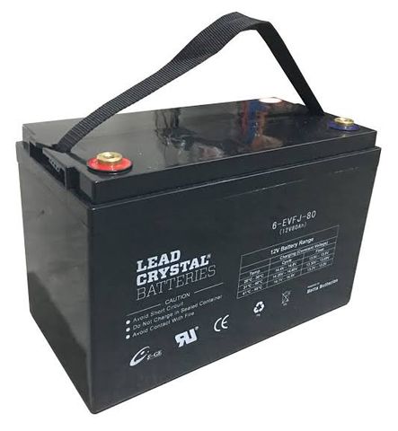 Lead Crystal EVFJ - Light Traction/Motive Battery, 12V