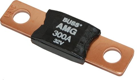MEGA/AMG Fuse