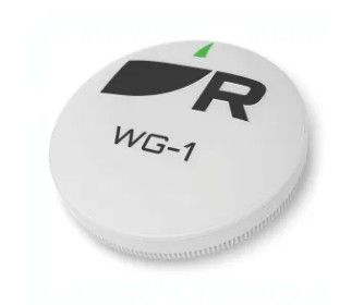 Raymarine RCU-1 Wireless Autopilot Remote