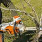 MSA220C-B Chainsaw Skin - 16" (AP)