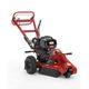 Push Stump Grinder