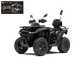 SEGWAY AT6L SNARLER Pro ATV - Black 2