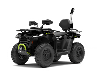 AT5L EPS Green/Black 2 Seater
