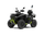 AT6L SNARLER EPS ATV - Black/Green