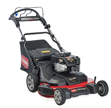 TimeMaster S/P B&S 223cc 30"