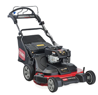 TimeMaster S/P B&S 223cc 30"