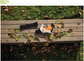 BGA30.0 Blower Skin (AS)