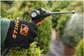 SGA85 Backpack Sprayer 17L (AP)