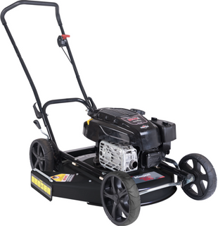 Pro Power STS21 Utility B&S 850I/C 21"