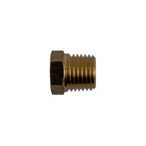 DPO 1/4" NPT Hex Plug