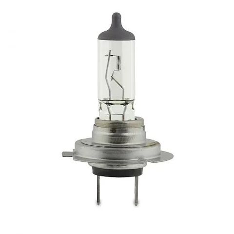 H7 Halogen Bulb 24V 70W