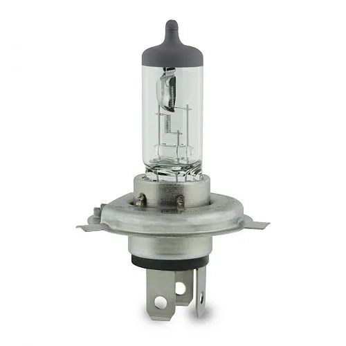 Buy Lumax 12V-H4-P45-60/55W Halogen Bulb 12V Clear Universal (Pack of 1)  Online in India at Best Prices