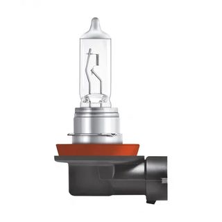 H11 Halogen Bulb 12V 55W - Plus 100%