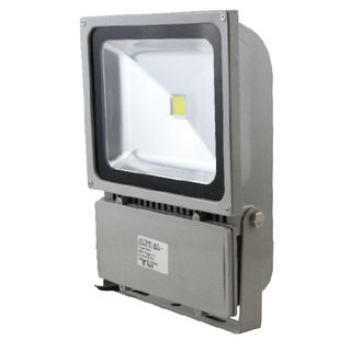 LED Flood Light 100W