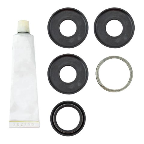 Steering Box Seal Kit TAS85