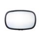 Truck Mirror - Scania