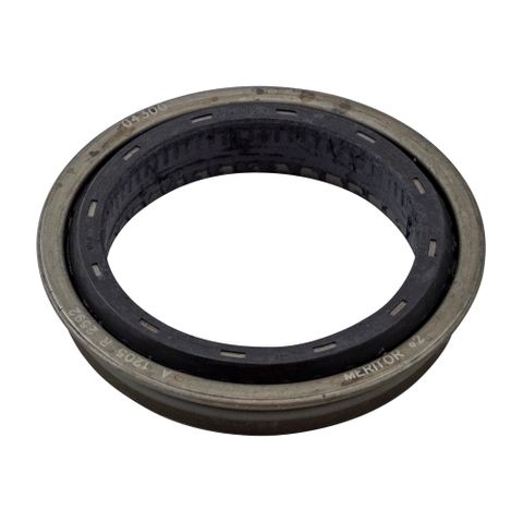 Seal Pinion Front Input 40-145