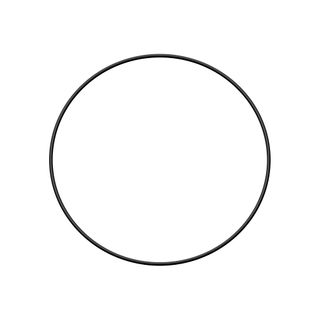 Diff Seal O-Ring 264N70
