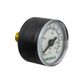 Pneumax Pressure Gauge 1/8" BSP