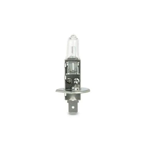 C2455 H1 Halogen Bulb 24V 55W