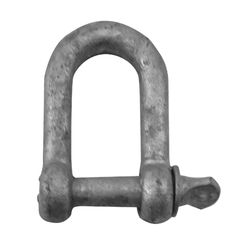 8mm D-Shackle