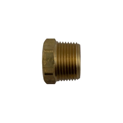 DPO 3/4" NPT Hex Plug